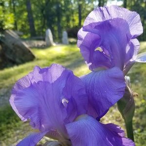 Meet your Posher, Barbara